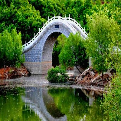 浙江出租全國房地產經紀人證和協理證，配合注冊備案