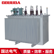 高過(guò)載線(xiàn)路調(diào)壓穩(wěn)壓器 三相 SVR-800KVA 10KV