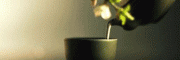 綠鼎活性山泉水帶你走進茶經中好水泡好茶世界